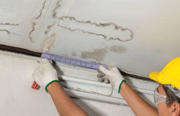 Reliable Mold Remediation contractor in Murchison, TX by Water Damage Irwin